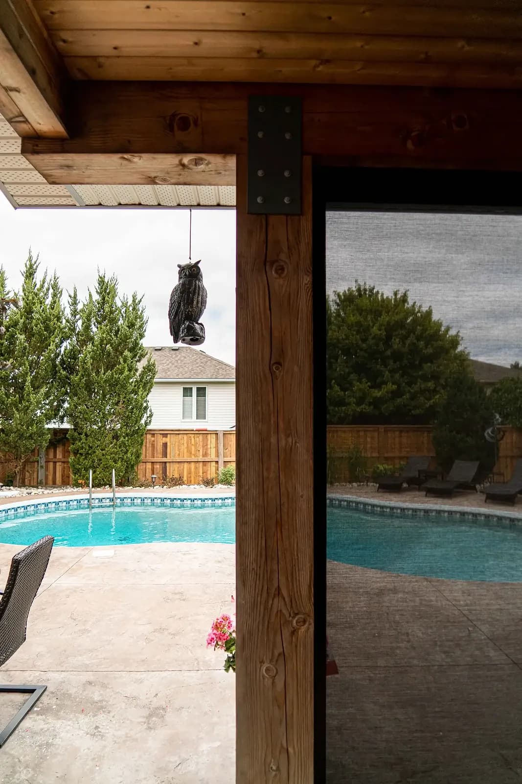 Tall view from a covered Ontario patio out to a backyard pool, framed by timber post and dark mesh
